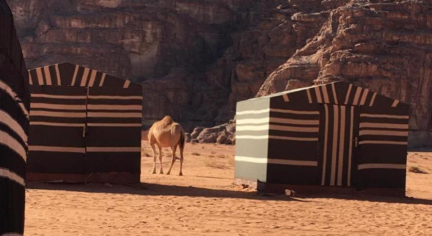 Wadi Rum Desert Heart Camp Kültér fotó