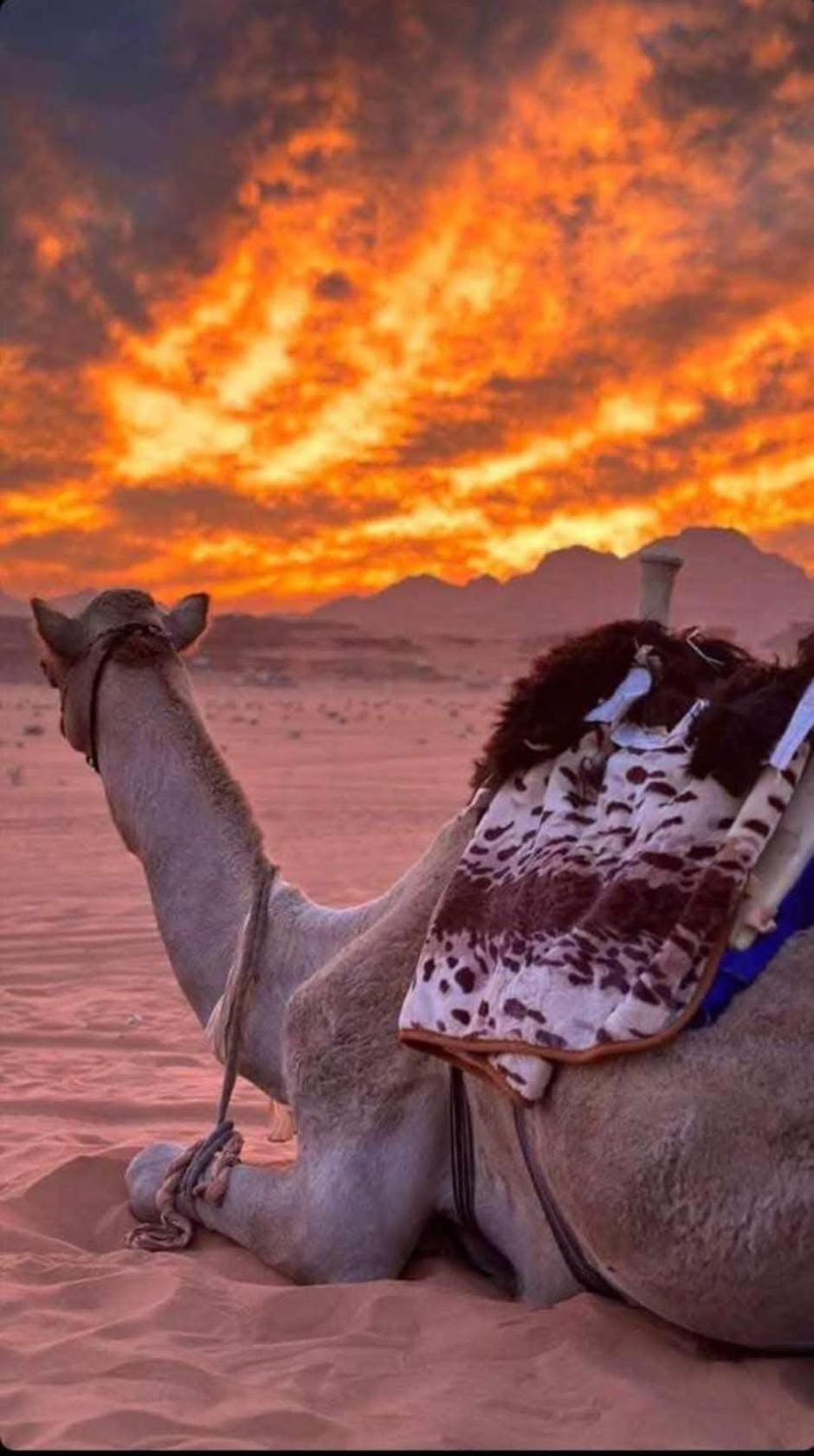 Wadi Rum Desert Heart Camp Kültér fotó